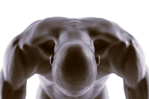 Body & Presence - 51