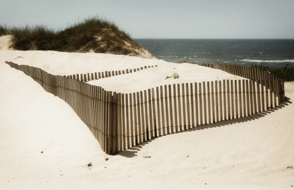 Her Gaze at That - 36