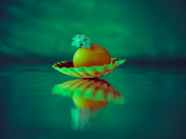 Her Gaze at That - 23