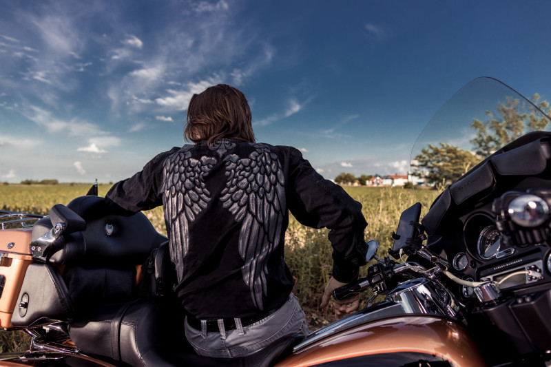 Taming the Hobbyhorse (2019-2020) - 05