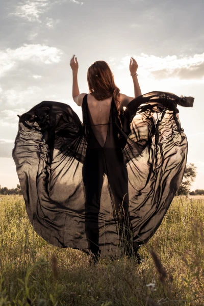 Taming the Hobbyhorse - 13