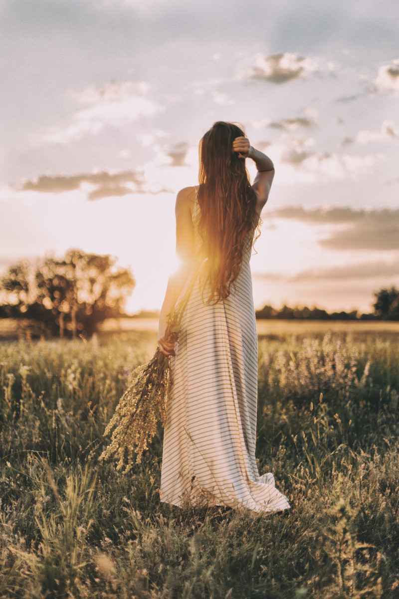 Taming the Hobbyhorse (2019-2020) - 06